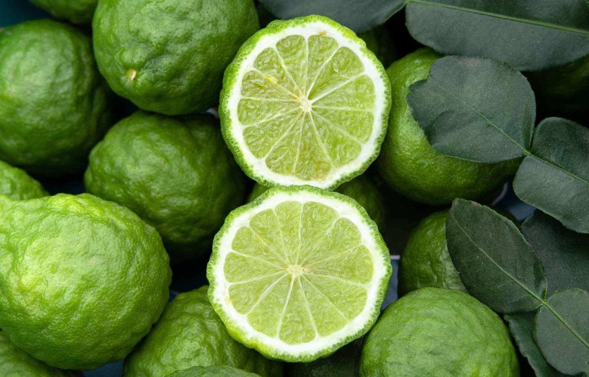 Bergamot in Perfumery