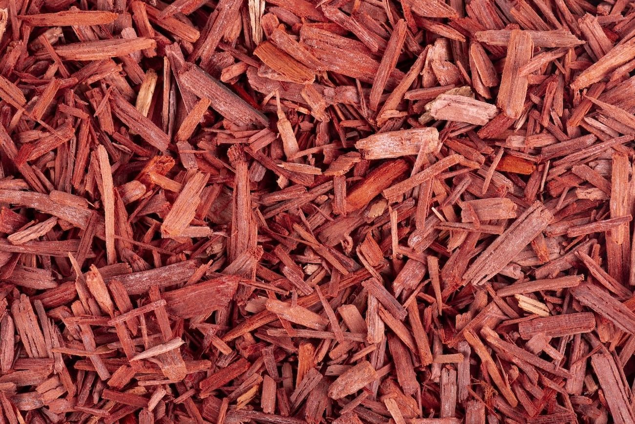 Sandalwood chips for Sandalwood fragrance blends