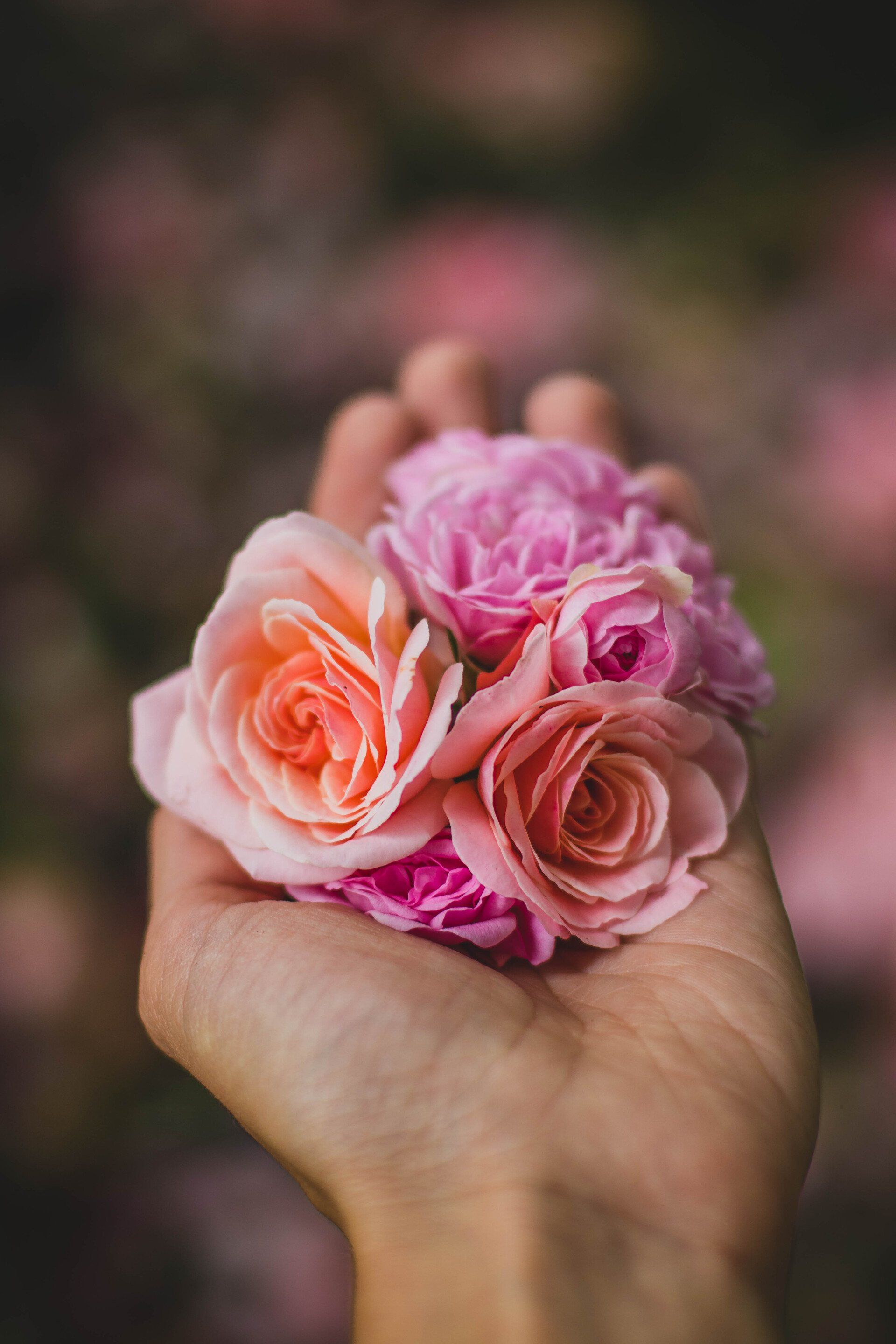 Rose Bergamot diffuser oil